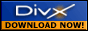DivX Now